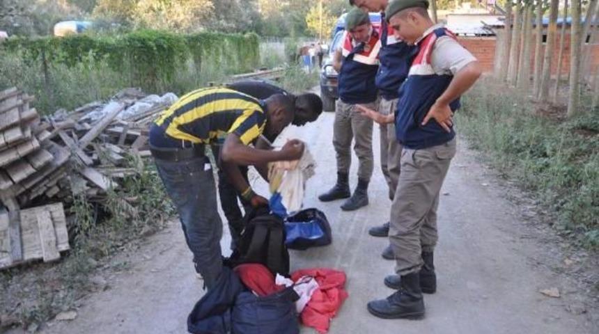 Akyazı'da 10 Afrikalı Kaçak Yakalandı