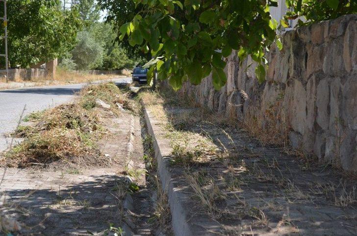 Belediye Ekiplerinden Hummalı Çalışma G2