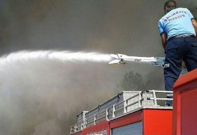 Ayvalık'taki Yangında 5 Hektar Çam Ve Zeytinlik Zarar Gördü