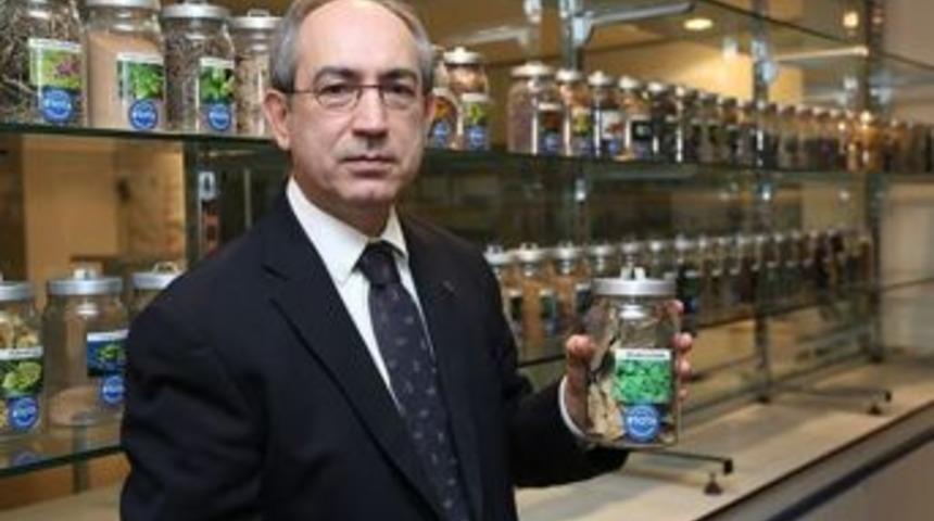 "kadınlar, Bitki &Ouml;zl&uuml; Sa&ccedil; Bakım &Uuml;r&uuml;nlerini Tercih Ediyor"