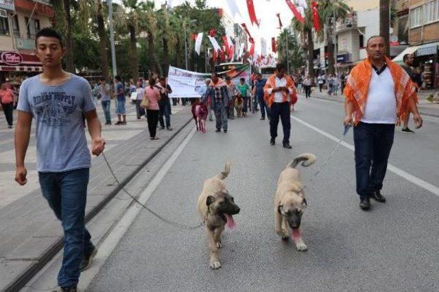 Çal'da 8 Asırlık Gelenek Eren Için Yapılacak