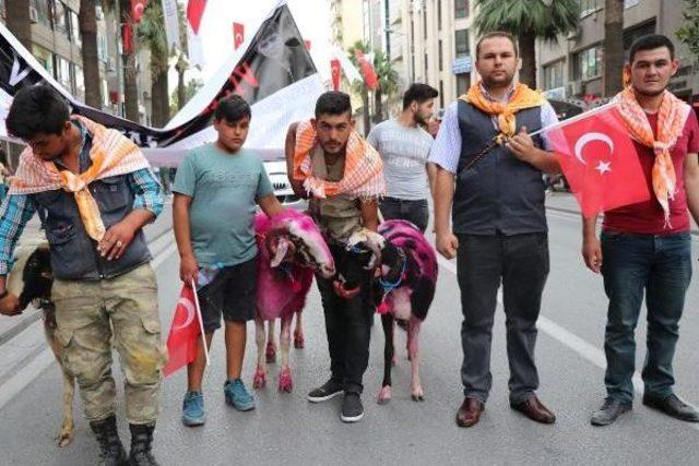 Çal'da 8 Asırlık Gelenek Eren Için Yapılacak