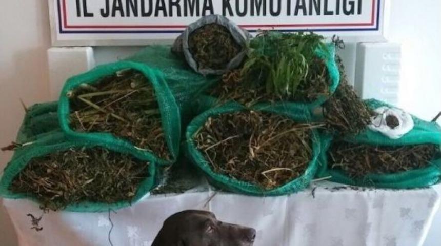 Jandarma Ve Polis Ekiplerinden Şok Baskın