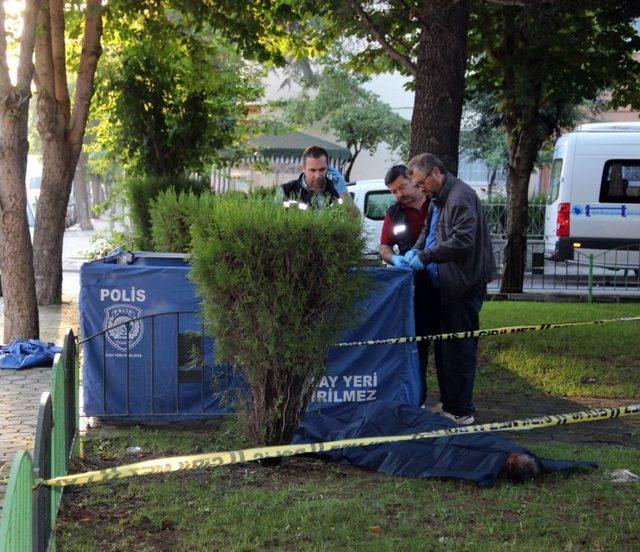 Parkta Darp Edilmiş Ceset Bulundu