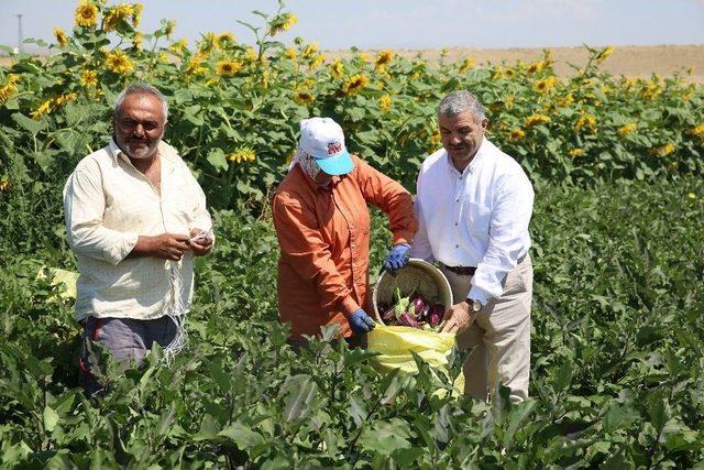 Kayseri’ye Toplu Besi Bölgesi Yapılacak