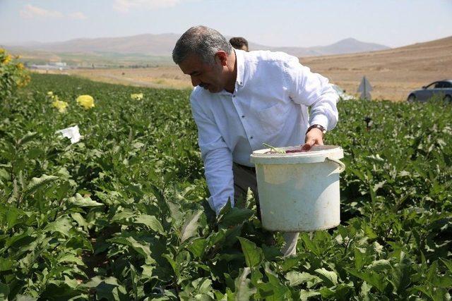 Kayseri’ye Toplu Besi Bölgesi Yapılacak