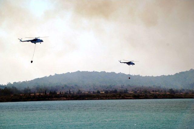 Ayvalık’taki Orman Yangınında Sabotaj İddiası