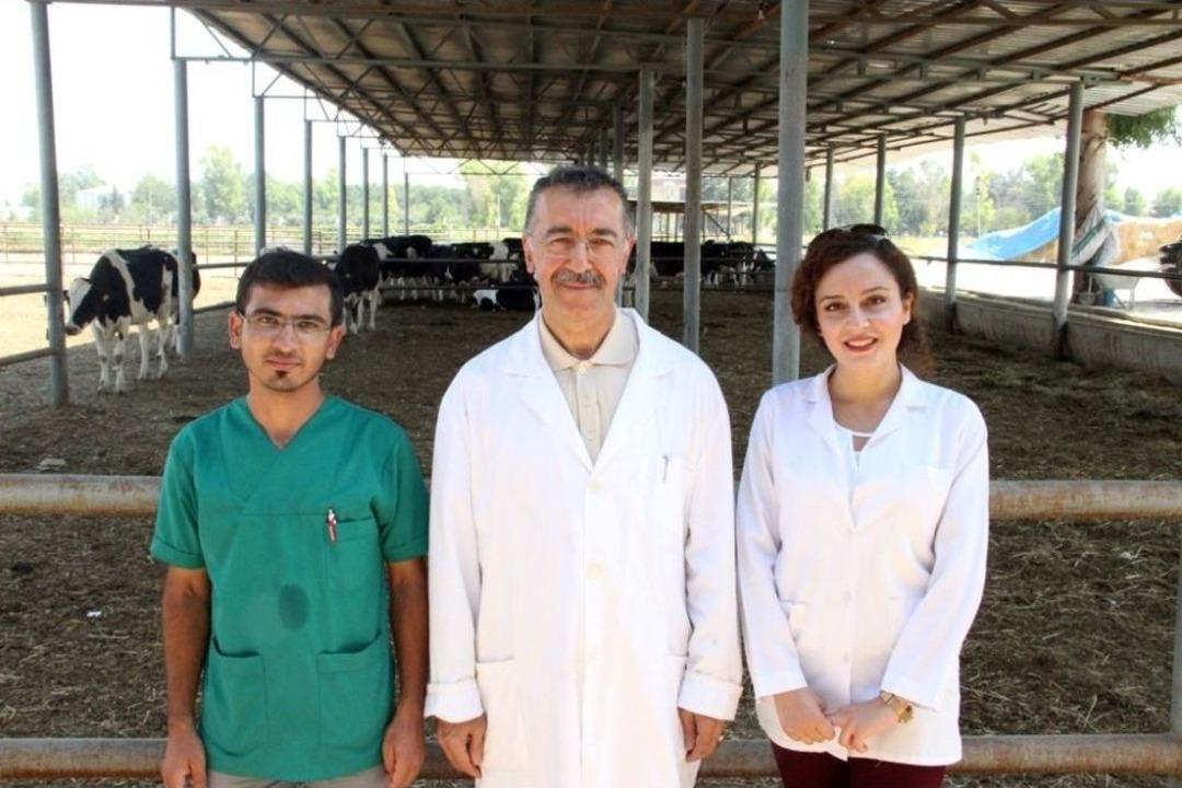 (&ouml;zel Haber) T&uuml;rk Bilim Adamları Kurban Bayramında Kesilen Hayvanın Acı &Ccedil;ekip &Ccedil;ekmediğini Araştırdı