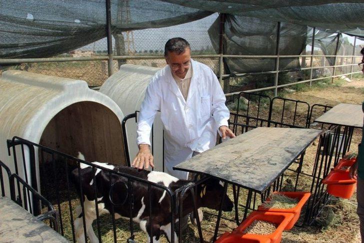 (özel Haber) Türk Bilim Adamları Kurban Bayramında Kesilen Hayvanın Acı Çekip Çekmediğini Araştırdı G3