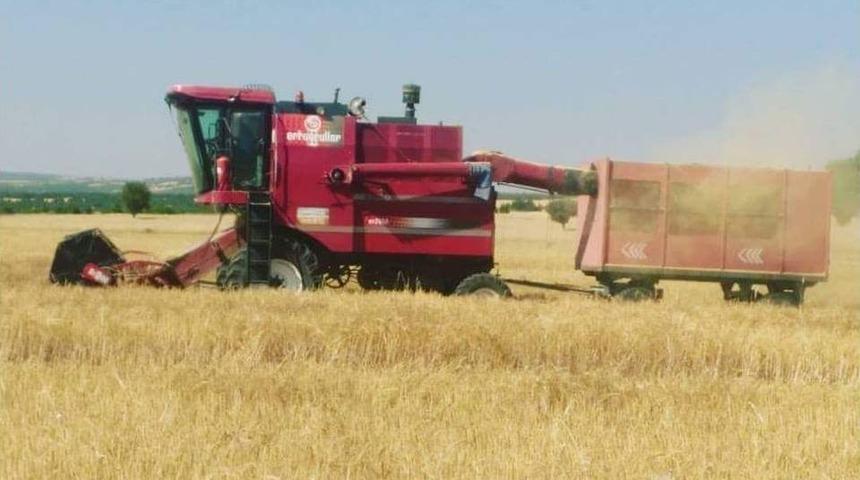 Altıntaş&rsquo;ta Arpa Ve Buğday Hasadı &Uuml;reticinin Y&uuml;z&uuml;n&uuml; G&uuml;ld&uuml;rd&uuml;