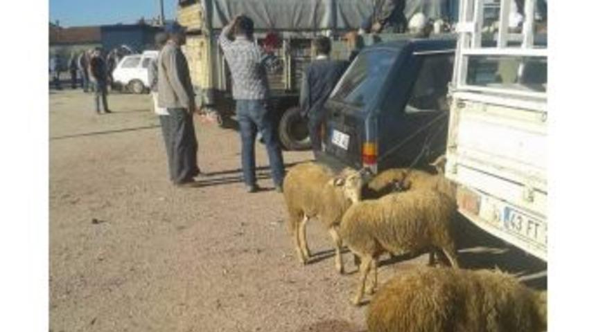 Kurban Pazarları A&ccedil;ıldı, Fiyatlar Arttı