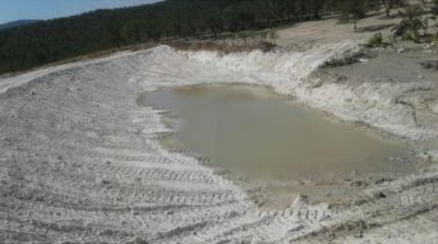 Hayvan &Uuml;reticilerini Sevindiren &Ccedil;alışma