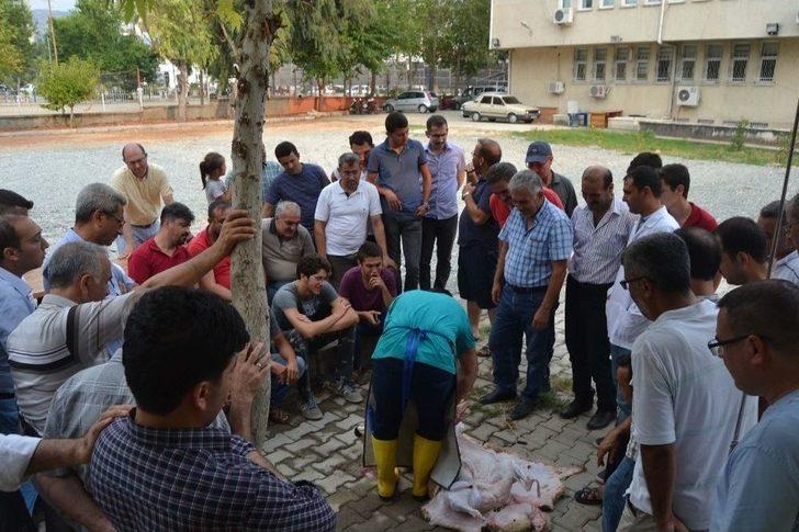 Kozan’da Kurban Kesim Kursu Açıldı G4