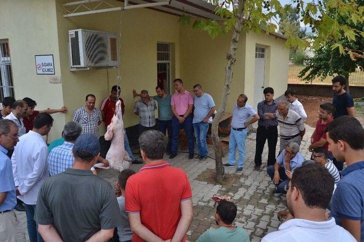 Kozan’da Kurban Kesim Kursu Açıldı G5