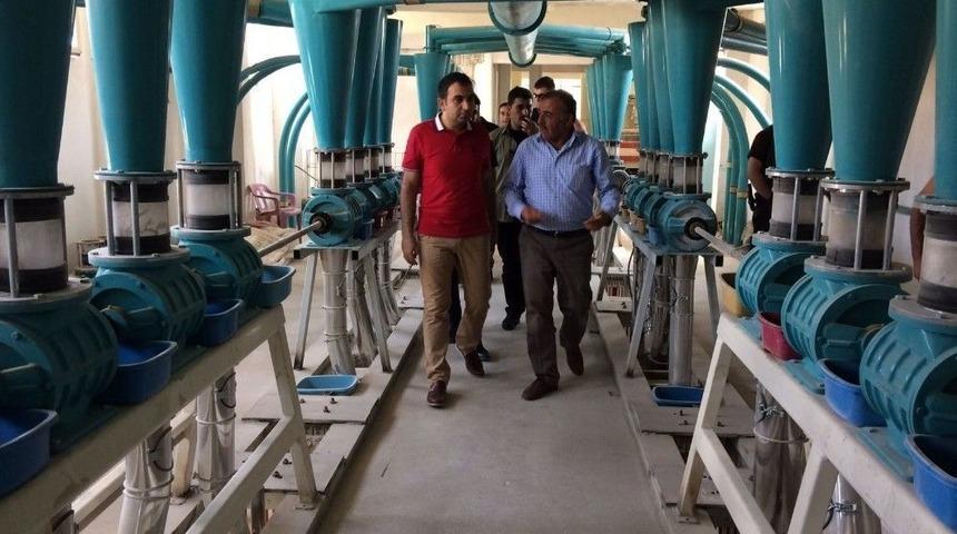 &Ccedil;elik, Un Fabrikasında İncelemelerde Bulundu