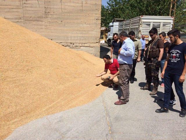 Çelik, Un Fabrikasında İncelemelerde Bulundu