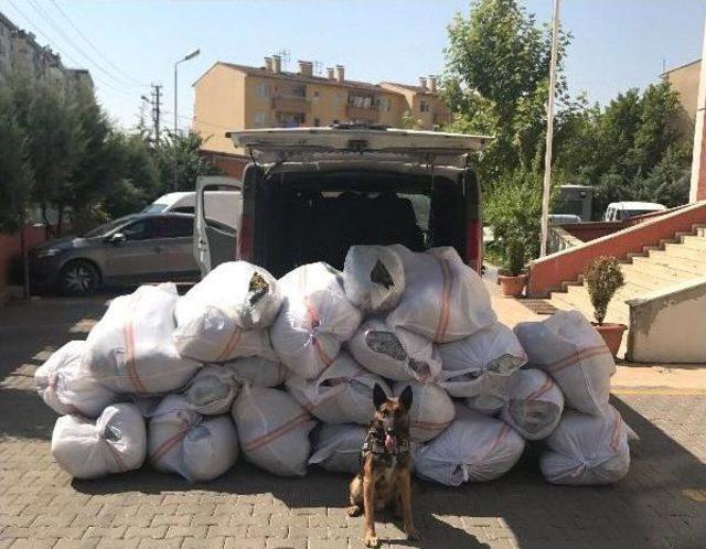 Diyarbakır'da 442 Kilo Esrar Ele Geçirildi