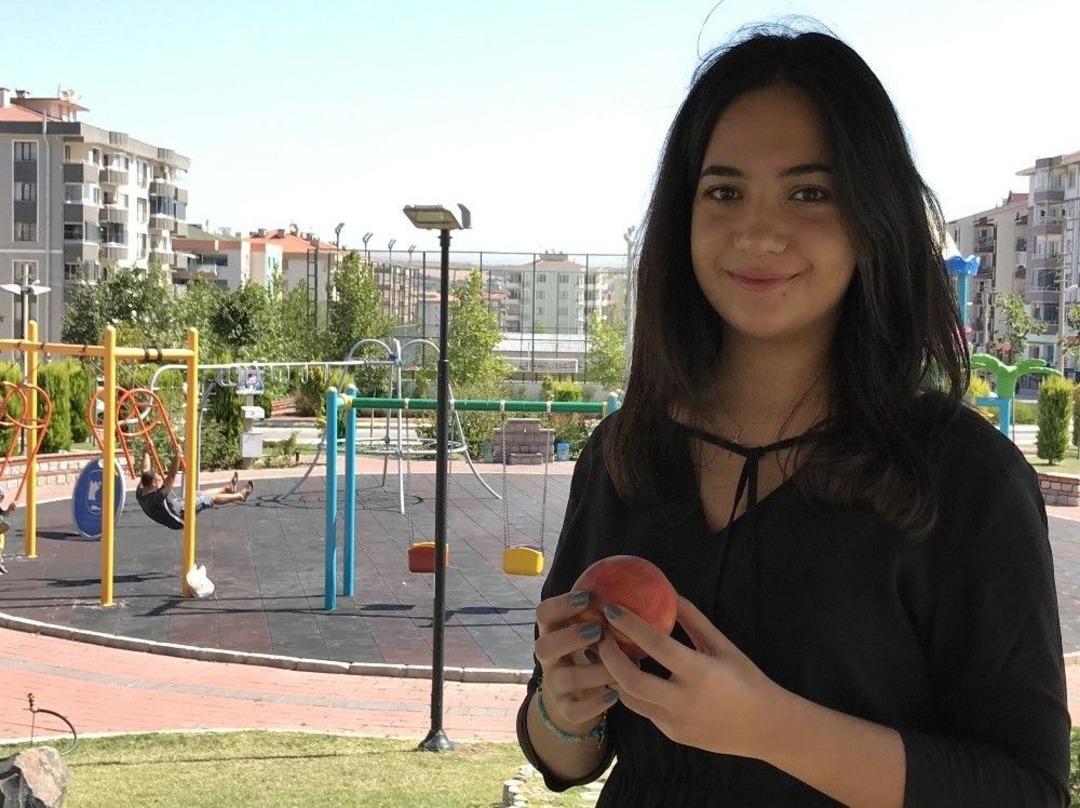 &Uuml;&ccedil; Bin Yılda A&ccedil;an &Ccedil;i&ccedil;ek Umurbey Şeftalisinde G&ouml;r&uuml;ld&uuml;