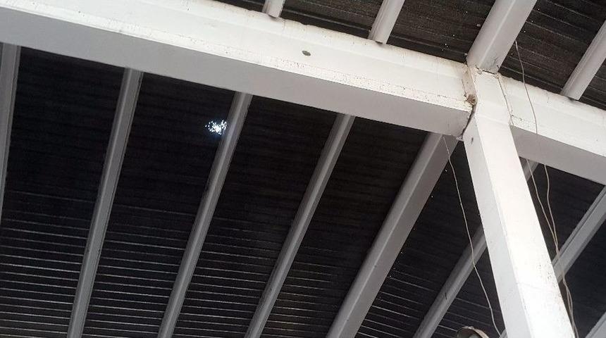 Pazar Yerinde Pompalı Dehşeti: 7 Yaralı