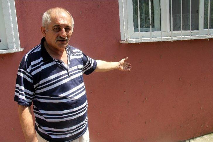 Tırtılların İstila Ettiği Sokakta 4 Gündür Korku İle Yaşıyorlar G5