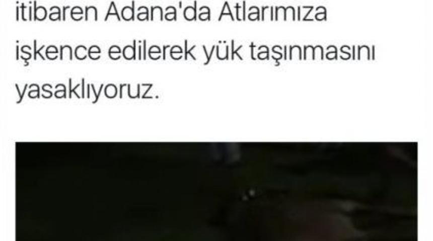 Başkan S&ouml;zl&uuml; Atla Y&uuml;k Taşımacılığına &rsquo;dur&rsquo; Dedi