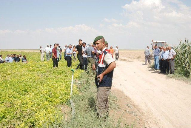 Baba Ve İki Oğlu Tarla Yüzünden Öldürüldü