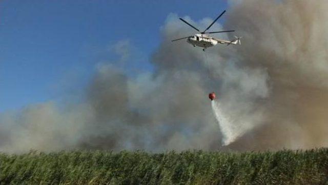 Edremit te Sazlık Alanda Yangın 2