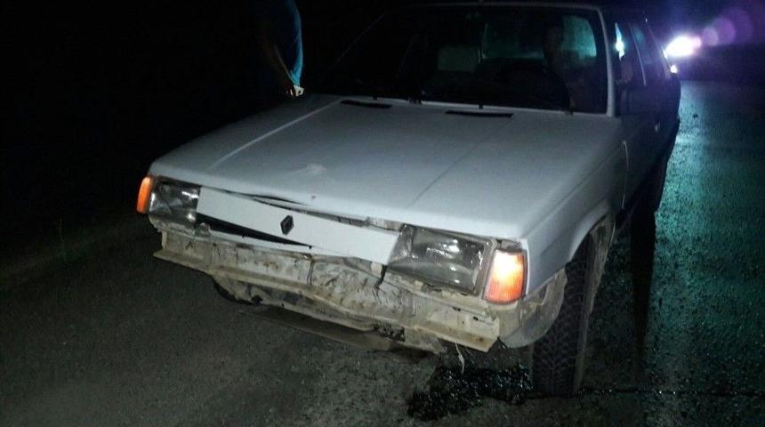 Otomobil Domuza &Ccedil;arptı