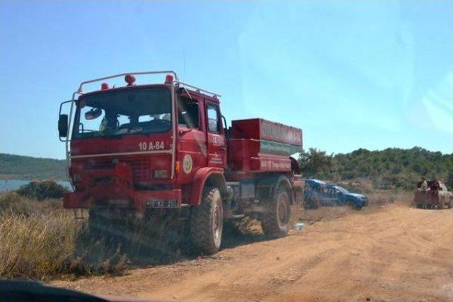 Ayvalık’Ta Aynı Bölgede Iki Gün Sonra Yine Yangın Çıktı