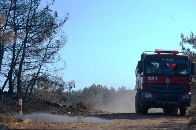 Ayvalık’ta Ki Orman Yangınında Bilanço; 15 Hektar Alan Yandı