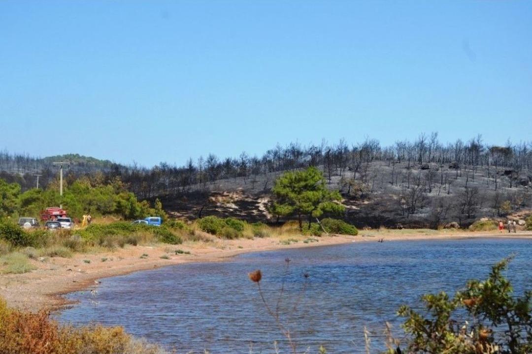 Ayvalık&rsquo;ta Aynı Ormanda Bir Yangın Daha &Ccedil;ıktı