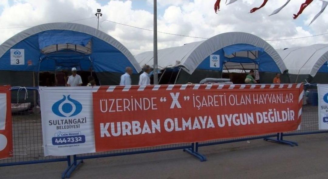 Sultangazi&rsquo;de Kurbanlıklar Alıcılarını Bekliyor