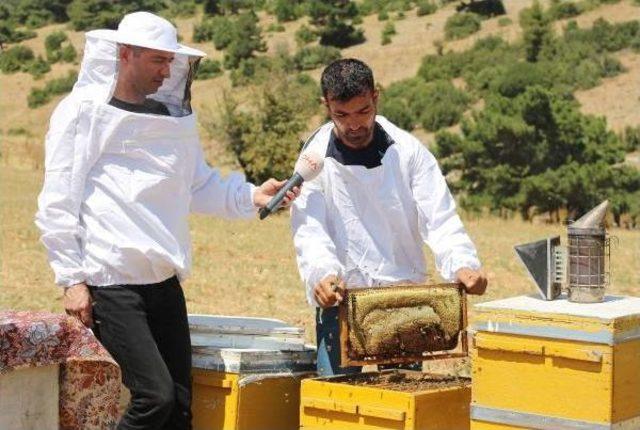 Mor Mucizeden Bal Damlıyor