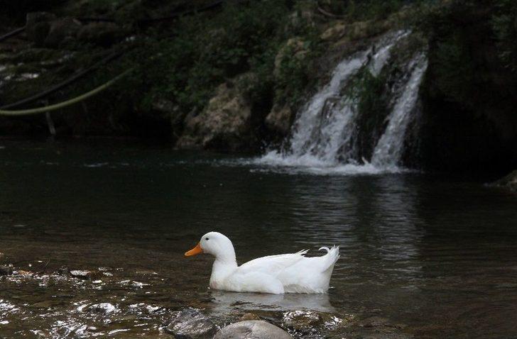 Adana’nın Açık Hava Stüdyosu Yerköprü G2