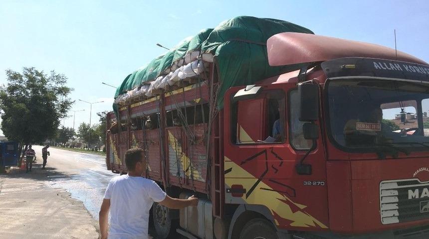 Sorgun&rsquo;da Kurbanlık Hayvan Sevkiyatlarına Sıkı Denetim