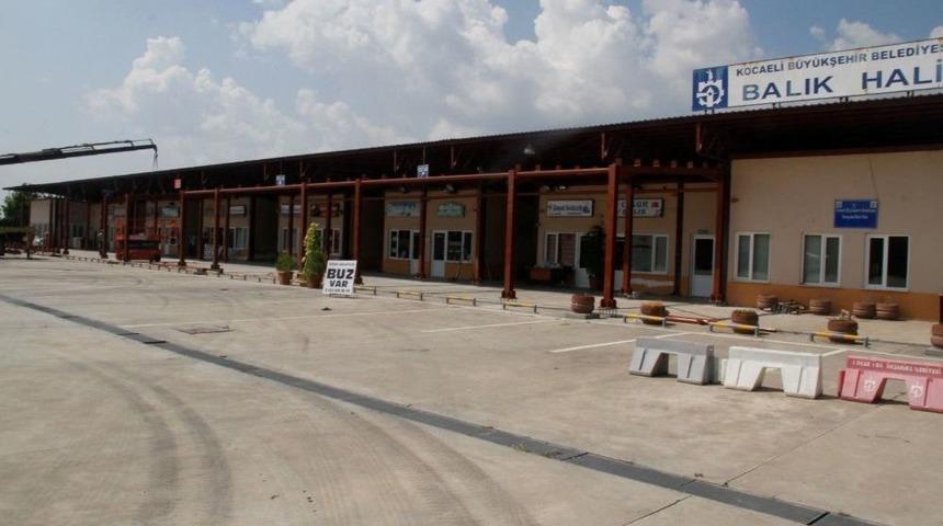 Balık Hallerinde Yeni Av Sezonu Hazırlıkları Devam Ediyor