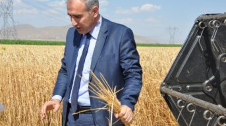 Anız Yakarak Geleceğini De Yakma!