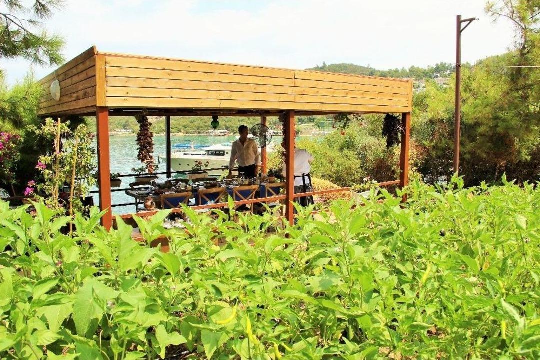 L&uuml;ks Turistik Tesiste Organik Tarım