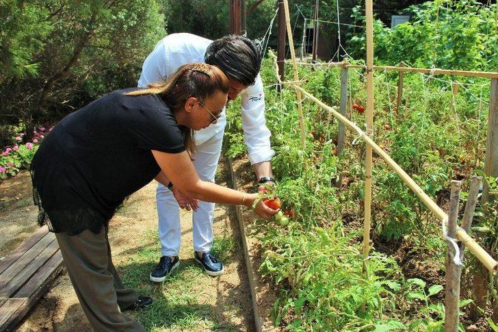 Lüks Turistik Tesiste Organik Tarım G1