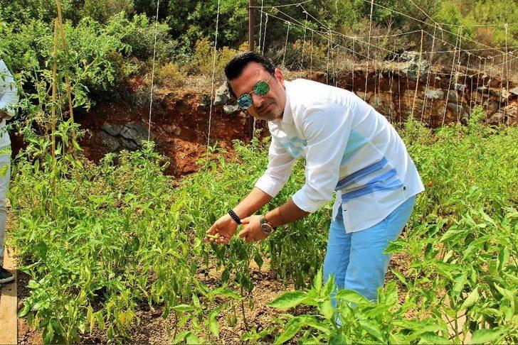 Lüks Turistik Tesiste Organik Tarım G2