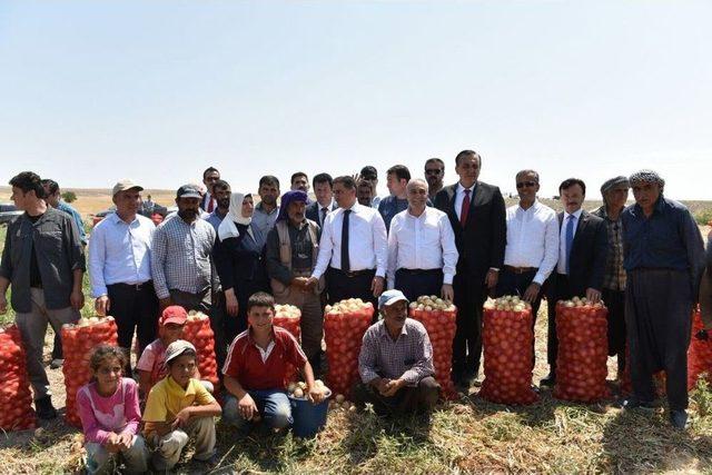 Bakan Fakıbaba, Tarım İşçileriyle Birlikte Soğan Topladı