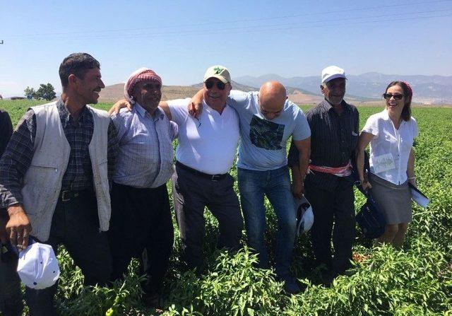 Büyükşehir’in Dağıttığı Biber Fidelerinin Hasadı Başladı