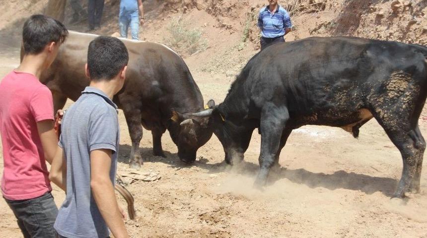 Bu Gelenek Dede Korkut&rsquo;tan Bu Yana Devem Ediyor