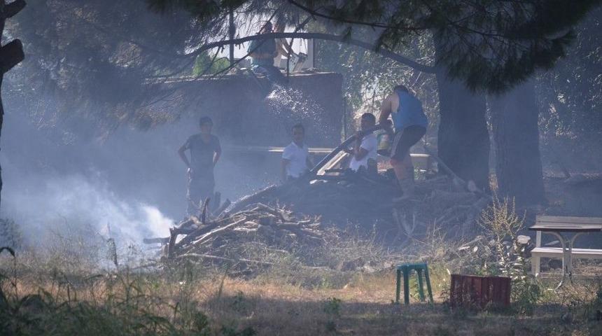 Burhaniye&rsquo;de Ot Yangını Korkuttu