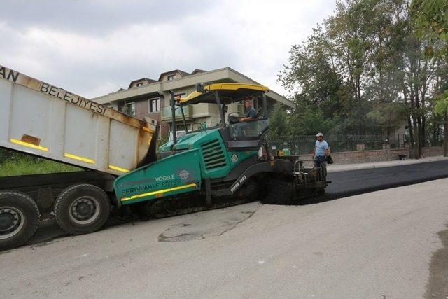 Aralık Caddesi Asfaltlanıyor