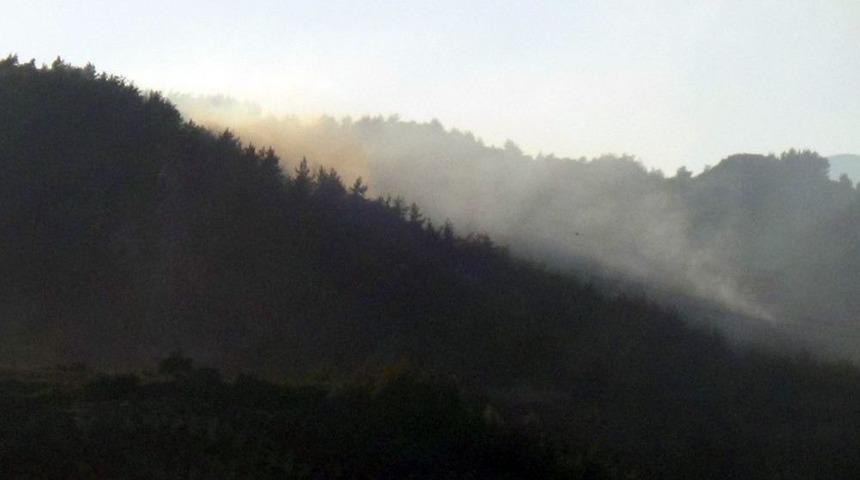 Piknik Ateşi Orman Yangınına Sebep Oldu