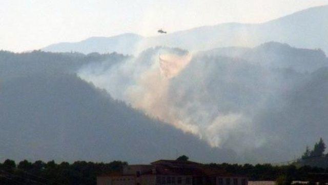 Hatay'da, Yangında 5 Hektarlık Orman Zarar Gördü