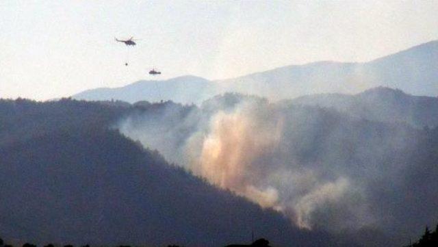 Hatay'da, Yangında 5 Hektarlık Orman Zarar Gördü