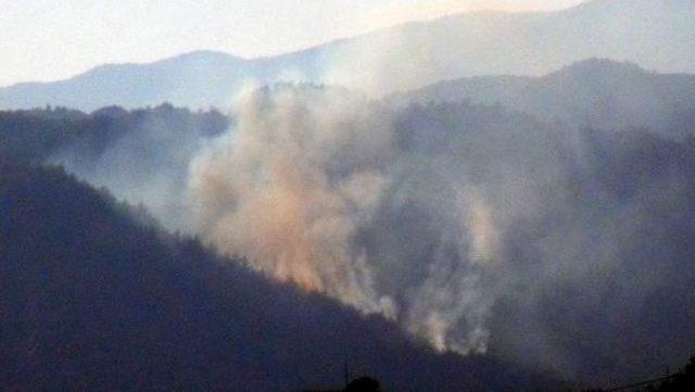 Hatay'da, Yangında 5 Hektarlık Orman Zarar Gördü