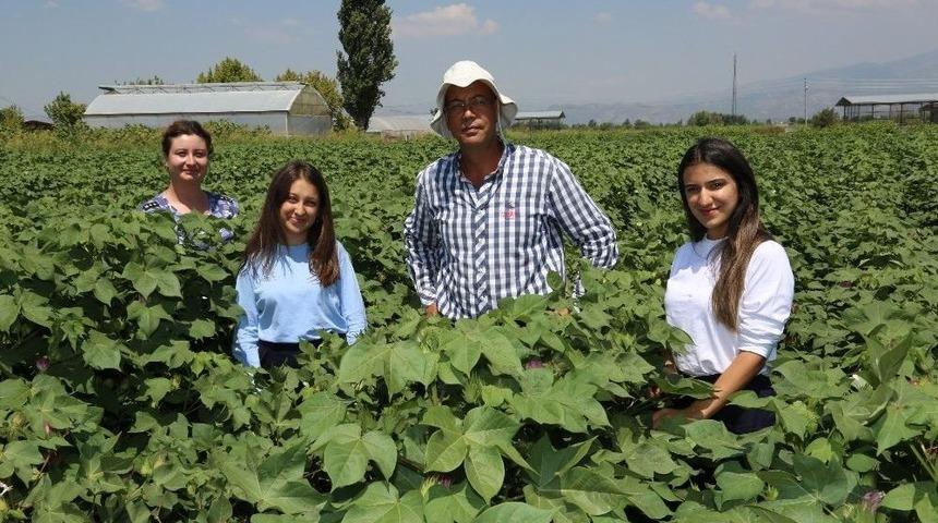 Ad&uuml;&rsquo;den &ldquo;kuraklığa Tolerant Pamuk Islahı&rdquo; Projesi